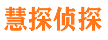 芦淞市婚外情调查